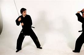 Image result for Samurai Sword Fight
