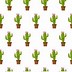 Image result for Funny Cartoon Cactus Plants