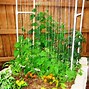 Image result for Square Foot Garden Greenhouse