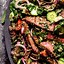 Image result for Meat Salad