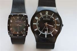 Image result for Skagen Titanium Watch