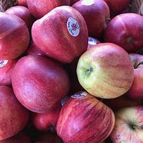 Image result for 24 Gala Apples