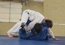 Image result for Sambo Martial Art