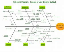 Image result for Six Sigma Fishbone Template