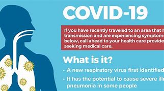 Image result for Facts About Covid 19