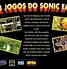 Image result for Sonic Riders Tikal