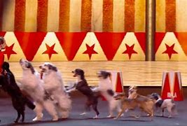Image result for Friday Dancing Dogs