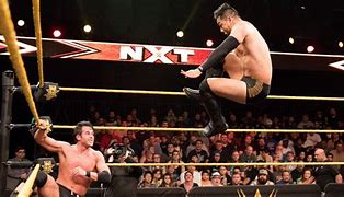 Image result for WWE NXT Wrestling
