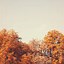 Image result for Preppy Autumn Wallpaper