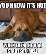 Image result for Jokes About Summer Heat