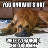 Image result for Jokes About Summer Heat
