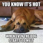 Image result for Summer Heat Funny Memes