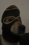 Image result for Dog with Ski Mask Shirt