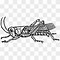 Image result for Cricket Insect File and Scraper Cartoon