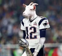 Image result for Goat Meme Football