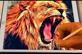 Image result for Colorful 3D Lion
