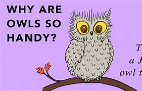 Image result for Owl Text Message Funny