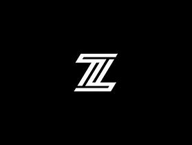 Image result for Stylish Design Logo for Z