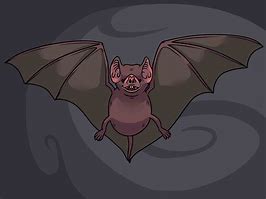 Image result for Real Bat Drawing