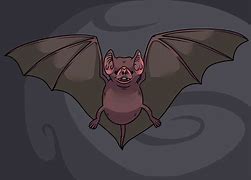 Image result for Bat Drawing Colors