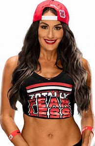 Image result for Nikki Bella Fan