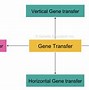 Image result for Vertical and Horizontal Technology Transfer