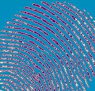 Image result for Fingerprint Sensor within Display