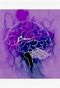 Image result for Brain Shrinking Fungas
