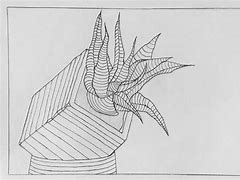 Image result for Cross Contour Lines in Art