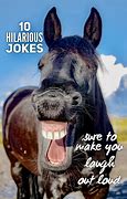 Image result for Funny Jokes Pics