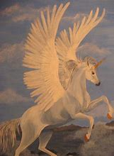 Image result for Wingeds Unicorn Art