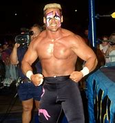 Image result for Professional Wrestler Sting