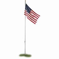Image result for Flagpole Cartoon