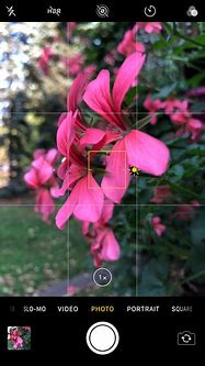 Image result for iPhone 8 Plus Camera Instructions