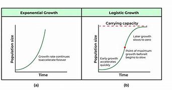 Image result for Logistic Growth Graph