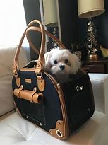Image result for White Purse Dog