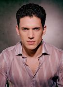 Image result for Wentworth Miller