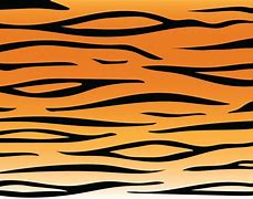 Image result for Tiger Stripes Drawing
