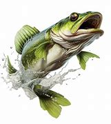 Image result for Largemouth Bass Wallpaper Png