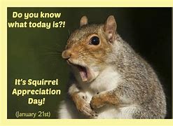 Image result for Squirrel Appreciation Day Meme