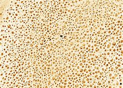 Image result for Western Style Bone Texture