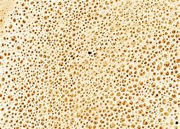 Image result for Bone Texture High Resolution
