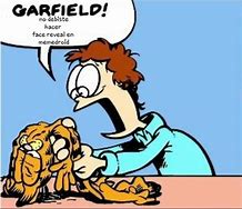 Image result for Garfield Memes Anime