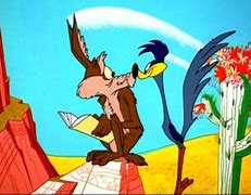 Image result for Road Runner Coyote Acme