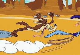 Image result for Road Runner Coyote Cartoon Broken Bones