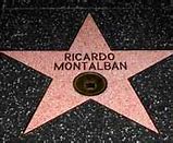 Image result for Montalban Local Icon