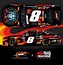 Image result for NASCAR Xfinity 8