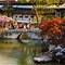 Image result for Traditional Chinese Garden