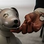 Image result for Aibo Price 31B