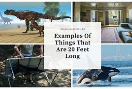 Image result for How Long Is 20 Feet